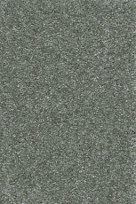 Ковролин AW Promenade 29 фото 1 | FLOORDEALER